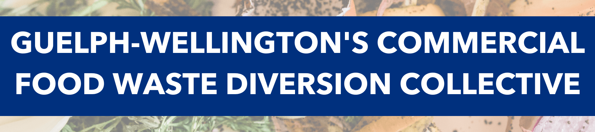 Guelph-Wellington's Commercial Food Waste Diversion Collective